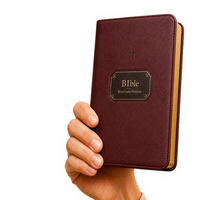 Nouvelle conception, service de personnalisation de livres, couverture de livre sur mesure, impression offset, couverture en PU marron durable, bible économique en gros, bilingue