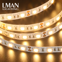 Bande lumineuse LED pour décoration de bâtiment, haute luminosité, IP65, SMD5050, 60 LED/m, largeur 10 mm, DC12V/24V, 10W