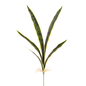 Artificial Snake Plant Leaf With Yellow <b>Edges</b> High Simulation Indoor Desktop Decoration <b>Plastic</b> Material QH-56109 - Product Image 4