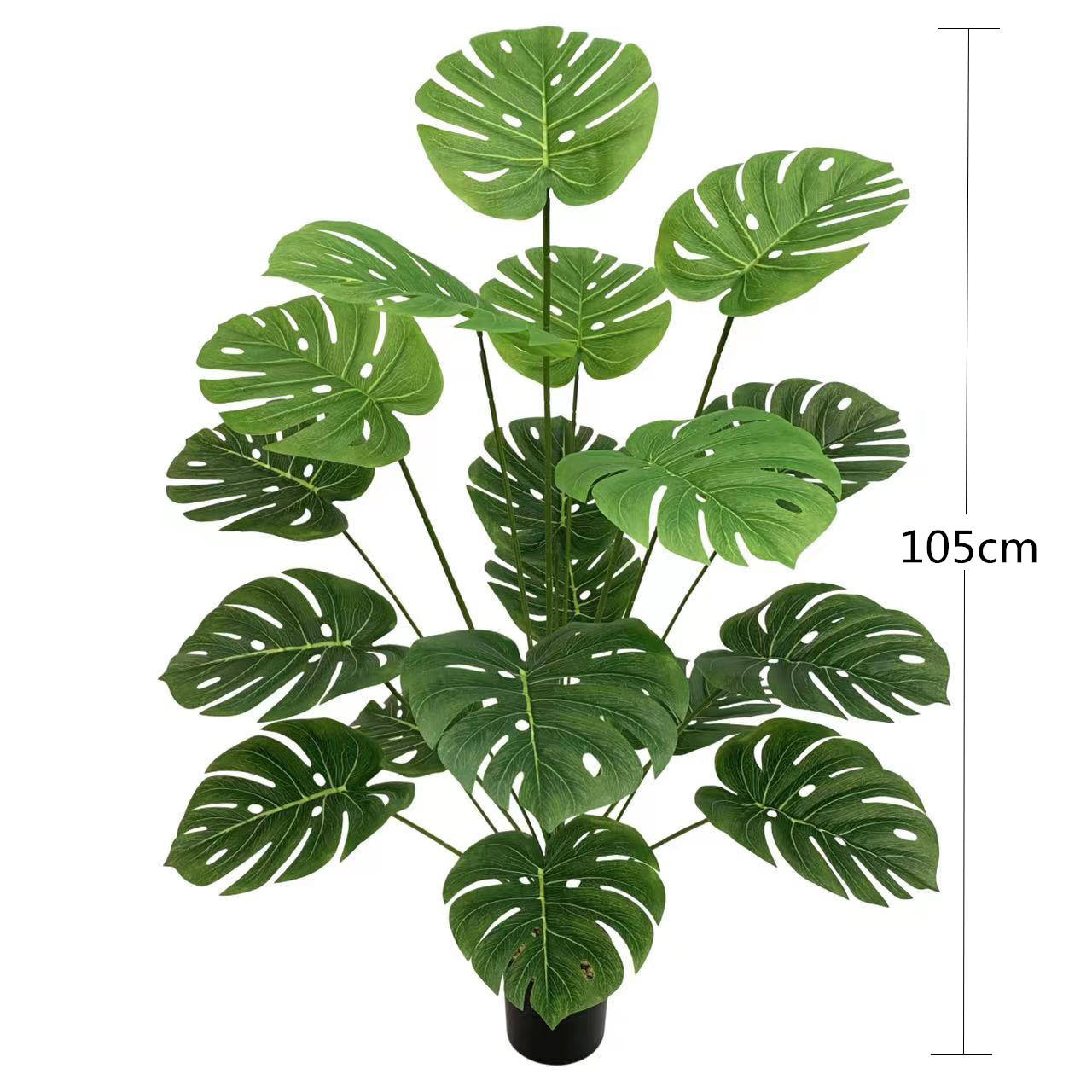 ใบหลังขนาดใหญ่18ใบ (ไม่รวมกระถาง)