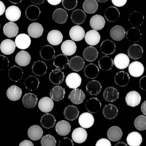Microsphères fluorescentes résolues dans le temps de taille uniforme pour diagnostic in vitro – Microsphères TRF haute performance - Product Image 1