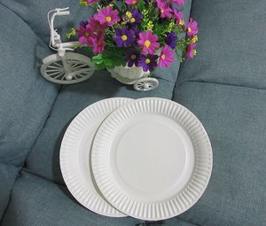 6 "/7"/8 "/9" bộ sưu tập nhà trắng <span class=keywords><strong>100</strong></span> đếm hàng ngày dùng một lần đồ ăn thân thiện với môi giấy tấm - Product Image 1