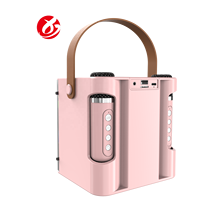 Venta al por mayor: Mini altavoz portátil KTV para exteriores con iluminación RGB, de plástico ABS, impermeable IPX2, con WiFi, envío directo desde la fuente.
