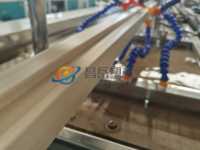 Moteur WEG Ligne de production de châssis de porte solide WPC à haute productivité Machine à fabriquer des composites bois-plastique