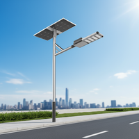 Lampadaire solaire LED à conception séparée IP66, alimenté en courant continu pour l'éclairage routier extérieur