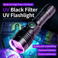 Linterna de Inspección UV de 365nm con Logotipo Personalizado, Detector de Fugas Industrial Profesional, Cuerpo de Acero Inoxidable, OEM, ODM, Venta al Por Mayor