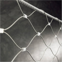 Maille de câble métallique de prix usine 304,316,316L maille d'acier inoxydable petit trou 20*20mm 8m * 10m rouleau pour le zoo de volière