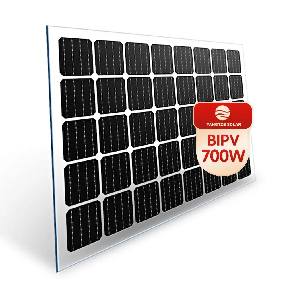Panneau solaire en plastique transparent à double paroi, 700W, pour toit, bipv coût