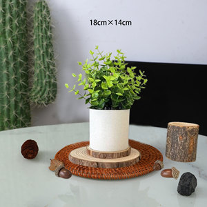 Plantes vertes artificielles Fuyuji, 18 cm, plastique, haute simulation, décorations de bureau - Product Image 3