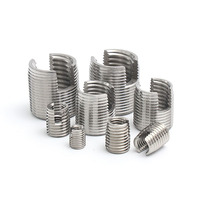 Zinc Plated Carbon Steel Locking Ensat Threaded Insert Bushing Stainless Steel 303 304 Slotted Self Tapping Thread Inserts