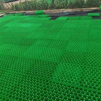 Geocell Stabilisateur de grille de gravier Grass Paver Grille de pavage en plastique Allée pour le contrôle de l'érosion