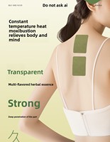 Bâtonnet d'armoise pour soulager la douleur articulaire, du genou, de la colonne cervicale, des muscles et des os, pansement lombaire, 12 pièces par boîte
