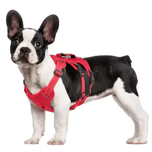Alibaba best sellers produtos cão leva treinamento caminhada pet dog chumbo corda trela reflexivo dog collar peito arnês