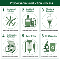 Poudre de Phycocyanine Sauvage Tianjia, Extrait de Spiruline Bleue à Valeur E, Colorant Alimentaire Naturel, Emballage en Fût, Extraction par Solvant