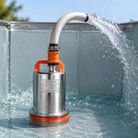 Pompe à eau solaire H DC 2 pouces 12V/24V/36V/48V/60V/72V à haute pression et grand débit en cuivre et aluminium pour l'irrigation