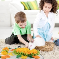 Tapis de jeu interactif amusant pour lapin en polaire lavable