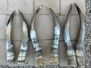 สัตว์ทะเลยาวขัดมันด้วยมือของแท้เป็นมิตรกับสิ่งแวดล้อมสำหรับตกแต่งบ้านของขวัญแต่งงานไม่เหมือนใครลวดลายธรรมชาติที่เป็นเอกลักษณ์ - Product Image 4