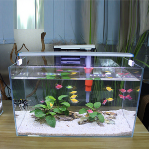 حوض أسماك زجاجي فاخر داخلي فائق الوضوح وصديق للبيئة عالي الجودة من شيلونغ - Product Image 2