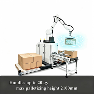 แขนหุ่นยนต์แบบร่วมปฏิบัติงาน 6 แกน สำหรับการจัดเรียงกล่องน้ำอย่างรวดเร็วในโรงงาน  ขนาดกะทัดรัด แข็งแรง รับน้ำหนักได้มาก - Product Image 6