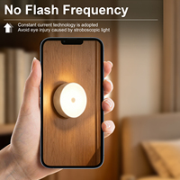 Lampe de nuit LED rechargeable à détecteur de mouvement, solaire, USB, sans fil, magnétique, pour armoire, escalier, placard, mur, intérieur
