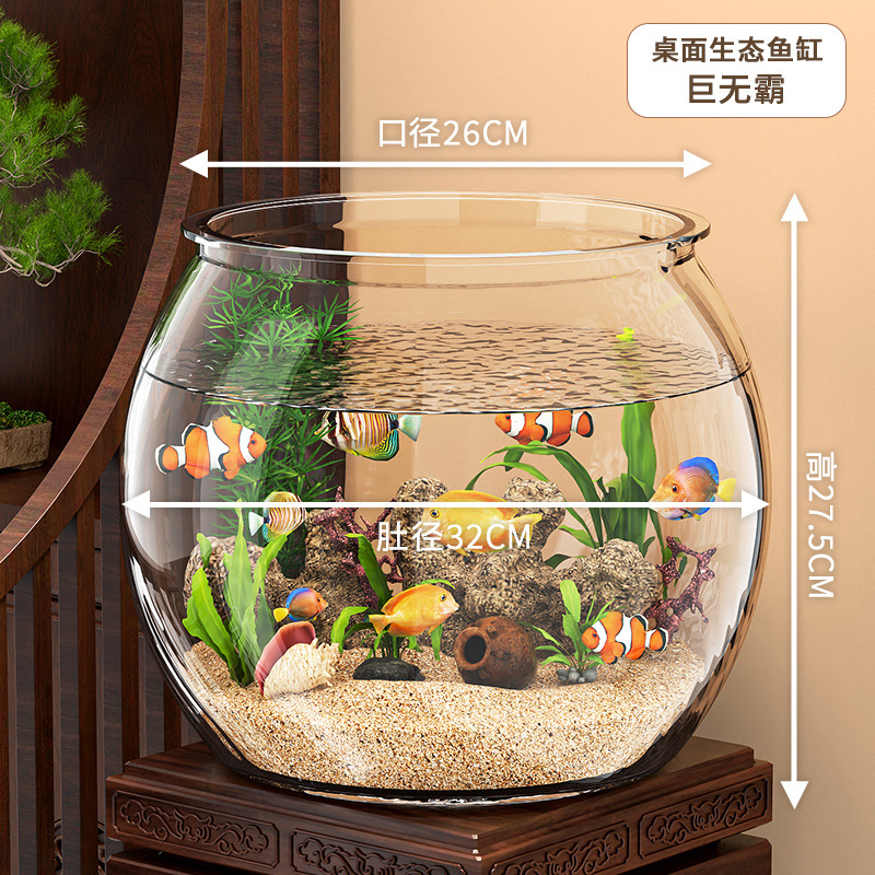 Giant round fish tank-suitable for diy landscaping