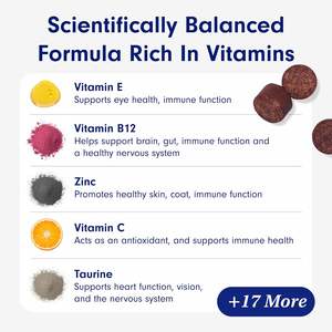 Gâteries à mâcher multivitamines personnalisables pour chiens, vitamines de marque privée pour chiens, multivitamines pour chiens avec glucosamine - Product Image 3