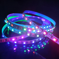 Kontrol Aplikasi yang Dapat Diprogram, Strip LED Pintar yang Dapat Diatur Alamatnya RGB IC 5050 SK6813 Pixel 12V DC dengan IC Terintegrasi