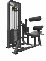 Appareil de fitness professionnel de haute qualité pour l'entraînement de force en salle : Extension dorsale et entraîneur abdominal