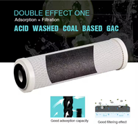 Ahlstrom 10 "20" 2.5 "4.5" elemen Filter komposit berlipat dengan cangkang kelapa kartrid Filter air karbon aktif