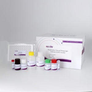 Prv GE <span class=keywords><strong>IgG</strong></span> kháng thể <span class=keywords><strong>Elisa</strong></span> <span class=keywords><strong>Kit</strong></span> kiểm tra-Chặn <span class=keywords><strong>Elisa</strong></span> cho lợn pseudorabies virus phát hiện, CE/oie compliant - Product Image 1