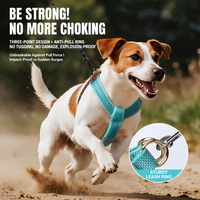 Harnais pour chien en forme de Y respirant et anti-étranglement, léger et entièrement réfléchissant, avec laisse, pour grossistes et détaillants de produits pour animaux de compagnie