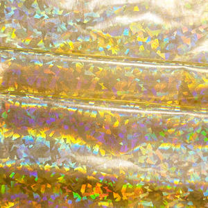 Vente en gros de feuille d'estampage à chaud, <span class=keywords><strong>hologramme</strong></span> de paillettes scintillantes, tissu en polyester spandex bronzant pour vêtements de spectacle - Product Image 6