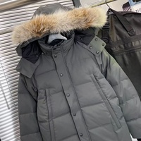Veste d'hiver classique de haute qualité, chaude et résistante au vent, avec fourrure de coyote, parka canadienne pour homme, veste en duvet d'oie