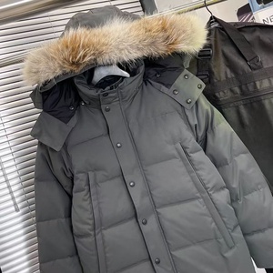 Veste d'hiver classique de haute qualité, chaude et résistante au vent, avec fourrure de coyote, parka <span class=keywords><strong>canadienne</strong></span> pour homme, veste en duvet d'<span class=keywords><strong>oie</strong></span> - Product Image 2