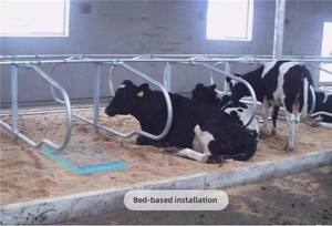 Nieuwe Conditie Koe Respiratoire Hartslag Hittestress Monitor Contactloze Foetale Koeien Eiland Gezondheidsmonitoring 1 Jaar Garantie - Product Image 3