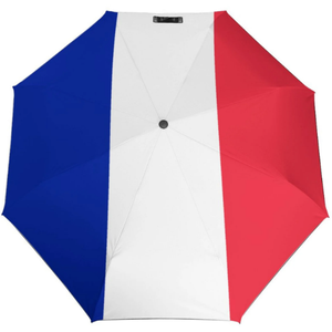 Parapluie compact de <span class=keywords><strong>voyage</strong></span> 2026 Tournoi de football Drapeau national Parapluie automatique portable léger coupe-vent - Product Image 2