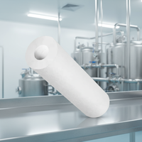 Cartouche filtrante en PP soufflé à chaud de qualité alimentaire, 5 microns, adaptée aux systèmes de purification d'eau potable et d'eau RO.