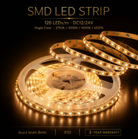 Güvenilir Kısılabilir SMD2835 LED Şerit Işık 12V24V 3000K 4000K 6500K Tek Renk BIS ETL Yüksek Yoğunluklu Bant Ayarlanabilir Parlaklık