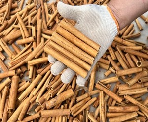 GXWW fabbrica all'ingrosso su misura bastone cannella spezie erbe secche grezzo lavorazione pezzo personalizzato Canela De Cassia Bastard cannella - Product Image 6