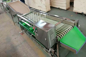Machine de classification de manioc de nectarine de waxberry en acier inoxydable de haute qualité équipement de tri de dates de petits fruits moyens - Product Image 6