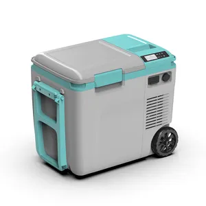 Alpicool HT refrigerato per esterni veicolo 12V 24V cura della pelle Mini auto frigoriferi per auto di casa campeggio casa Garage