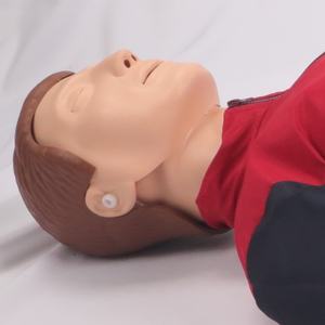 Maniquí <span class=keywords><strong>de</strong></span> Simulación <span class=keywords><strong>de</strong></span> RCP <span class=keywords><strong>de</strong></span> PVC Avanzado DARHMMY con Pantalla LCD a Color <span class=keywords><strong>de</strong></span> Pantalla Grande para Entrenamiento Médico - Product Image 3