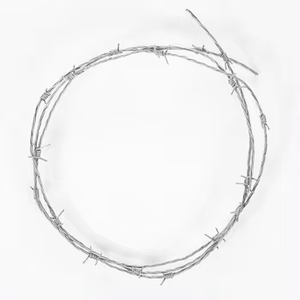 Fil de fer barbelé de haute qualité, prix du fil de fer barbelé galvanisé, clôture de ferme en métal - Product Image 6