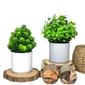 Plantes artificielles vertes en plastique de la collection Fuyu, en pot, pour la décoration intérieure du salon, du bureau et de la maison, hauteur 20 cm - Product Image 5