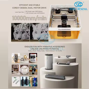 Untuk AtomStack P1 Mini Desktop cahaya ganda mesin penanda Laser mendukung kode QR/Logo/Teks/gambar ukiran batu karet kayu - Product Image 4