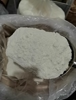 Poudre d'isolat de protéines de lactosérum OEM/ODM, supplément nutritionnel sportif riche en protéines pour la croissance et la récupération musculaire, 1 kg, marque privée