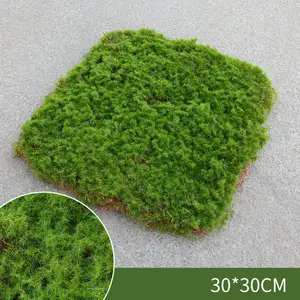 Artificial Sphagnum Moss Sheets - Faux Moss