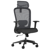 Chaise de bureau exécutive ergonomique moderne et contemporaine en maille avec accoudoirs réglables et fonction pivotante