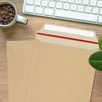 Zmybcpack 100 Pack 6X8 pouces auto-scellant Kraft brun enveloppes en carton rigide pour Photos photographie séjour papier Kraft