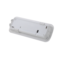 Personnalisation de lumière LED d'urgence rechargeable de vente chaude adaptée au plafond encastré monté pour la promotion
